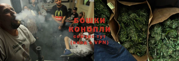 молекула духа Пестово